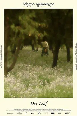 【剧情片】落叶球